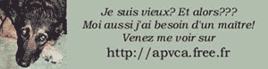 l'APVCA