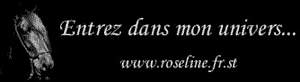 Mon site perso